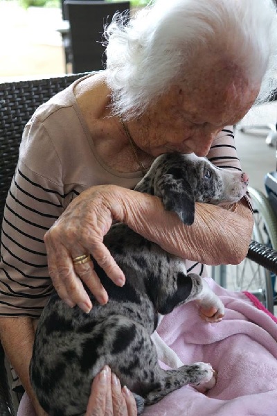 Love Blooms Between Aged Care Residents and Rescue Animals