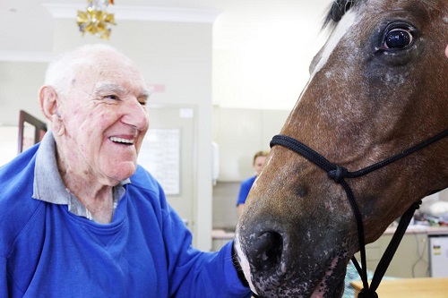 Horse Visit to Christadelphian Aged Care Goes Viral