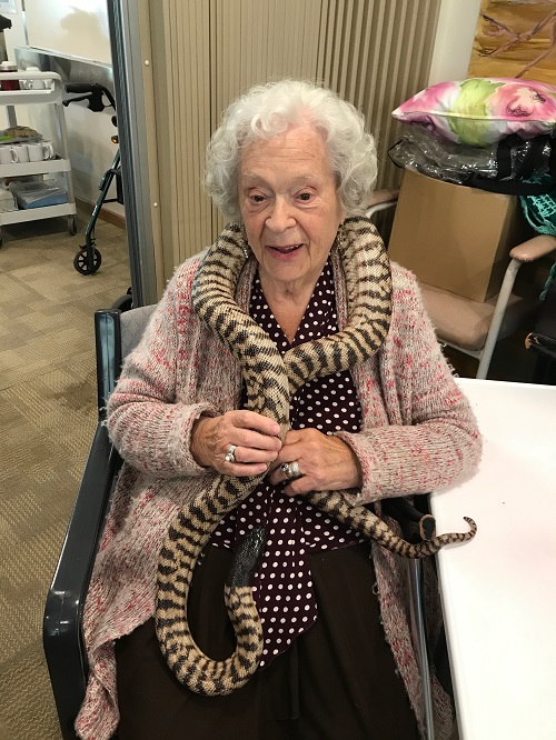 Mundaring Seniors Get Up Close and Personal With Local Reptiles