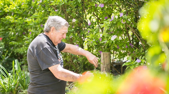 The Glory of Gardening at Wesley Mission Queensland
