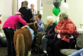 Fun for All at ‘TLC Aged Care The Heights’ 5th Anniversary