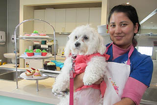 Baking Up a Storm Puts the Fun into Fundraising for RSPCA Cupcake Day