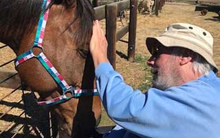 Arcare Portarlington Community Makes a Difference at Local Equine Rescue Centre
