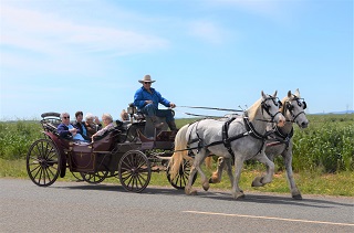 A Memorable Horse Drawn Carriage Ride for Jemalong Residential Village Residents