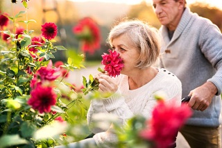 What is the Difference Between Respite in Residential Aged Care and Respite at Home?