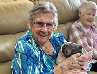 Aged Care Knitting Group Donate Knitted Blankets to Wildlife Shelter