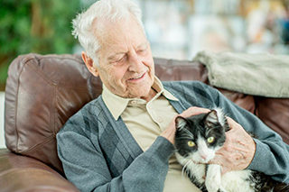 The Top Benefits of Living in a Pet-friendly Aged Care Home
