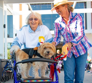 Science-Backed Benefits of Pet Therapy for Seniors Shine at Arcare Noosa Pet Parade