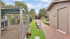 Bupa-Aged-Care-Kempsey-rooster-and-mens-shed